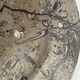 Round plate, fossil marble catch-all 35cm