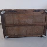 Travel trunk