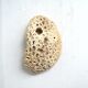 White coral