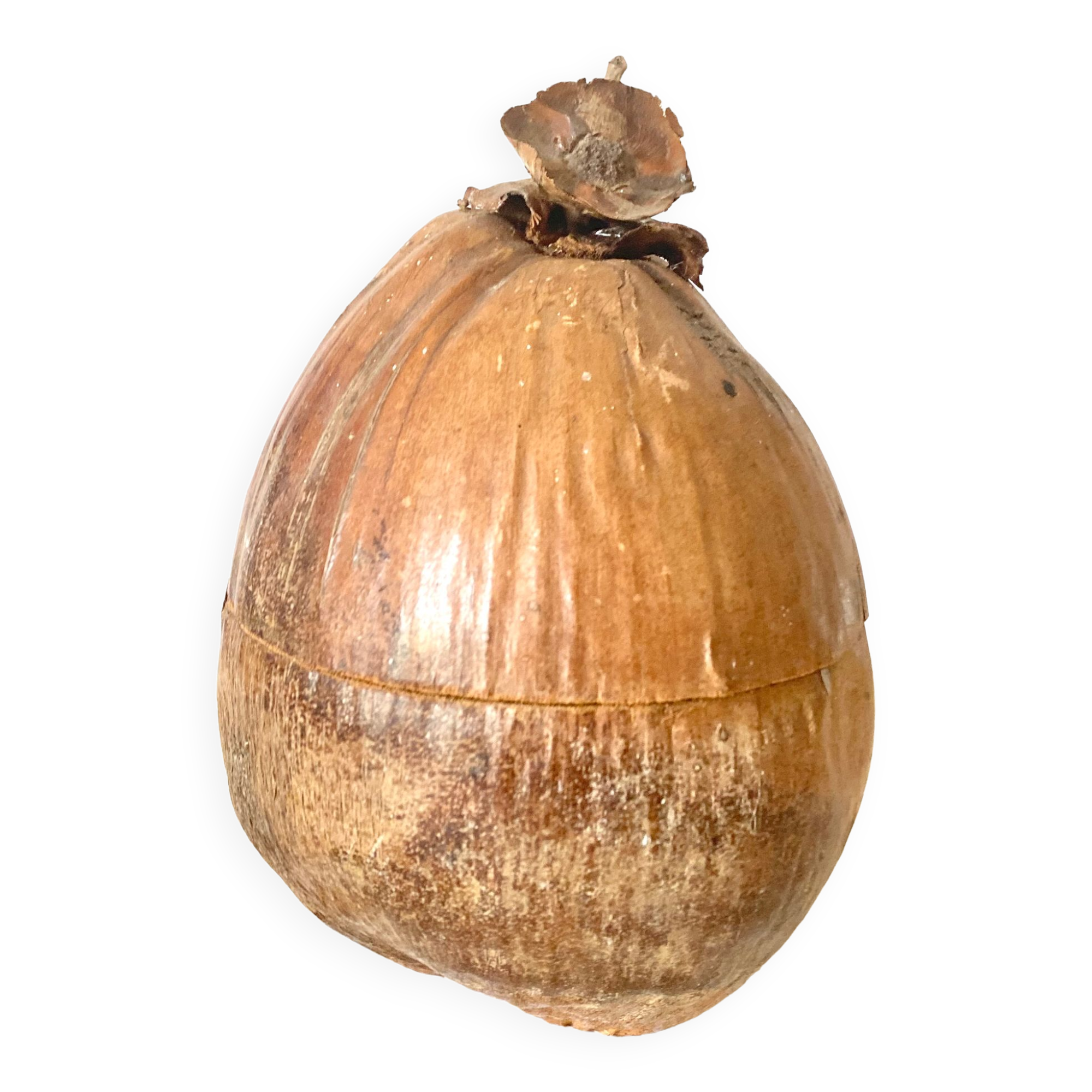 Coconut ice bucket