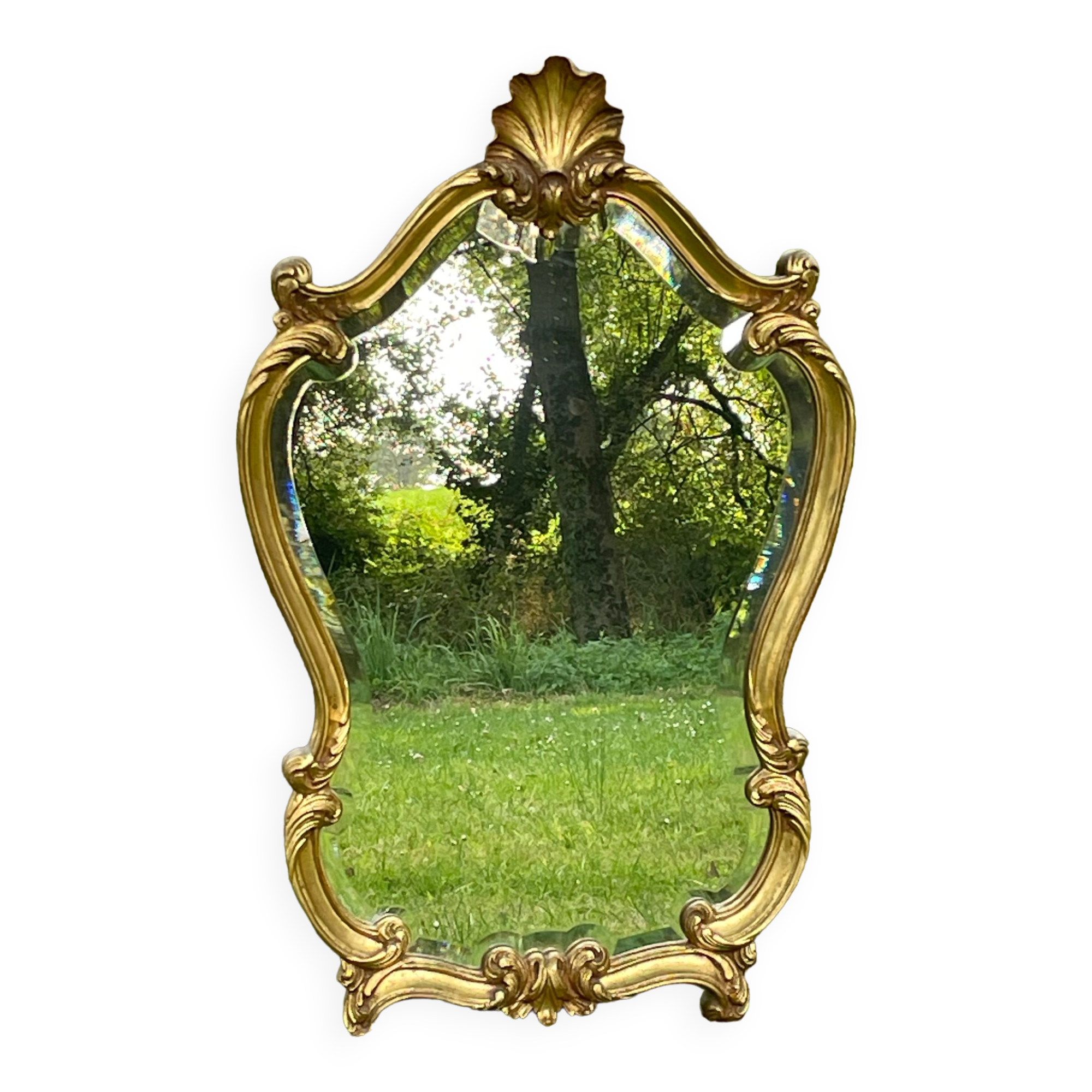 Beveled gilded wood mirror with violin shapes, Louis XV baroque style shell