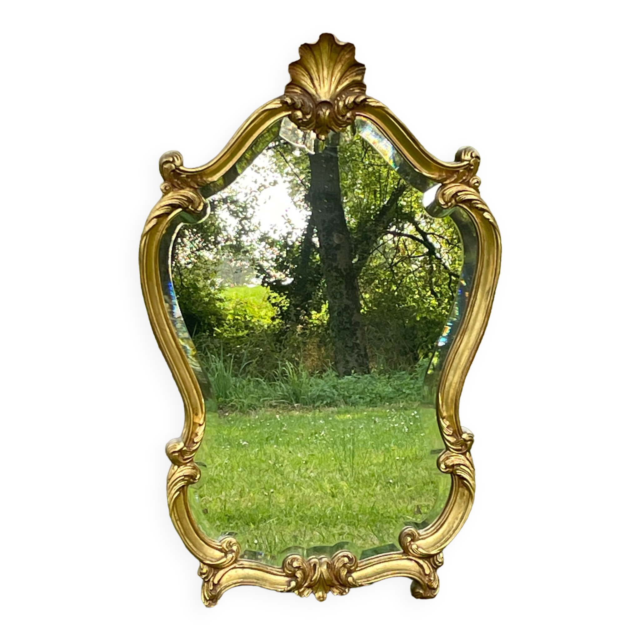 Beveled gilded wood mirror with violin shapes, Louis XV baroque style shell