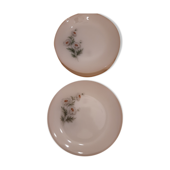 Vintage arcopal plates daisy pattern 1965 France