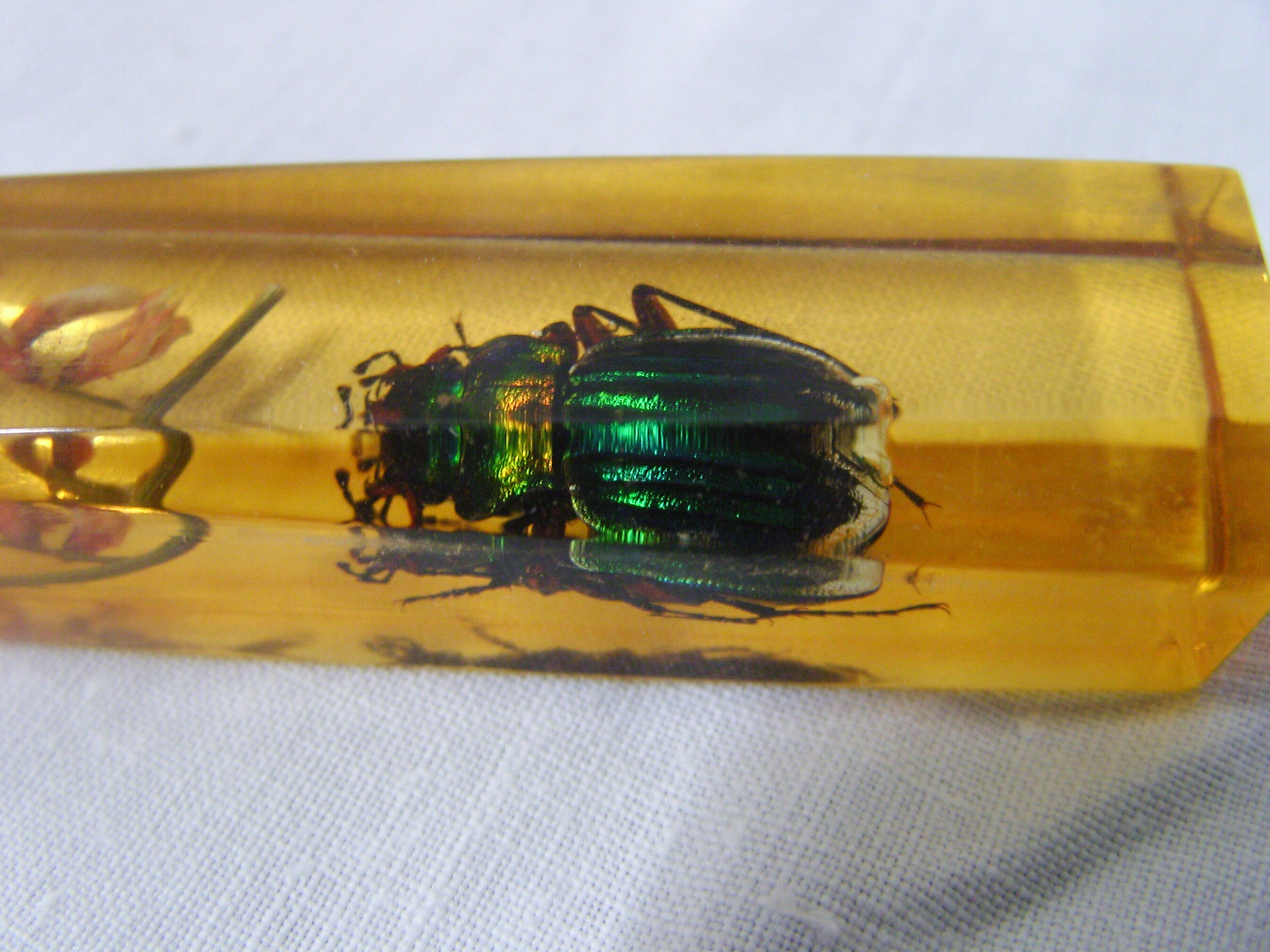 6 knife-wielding vintage insect inclusion