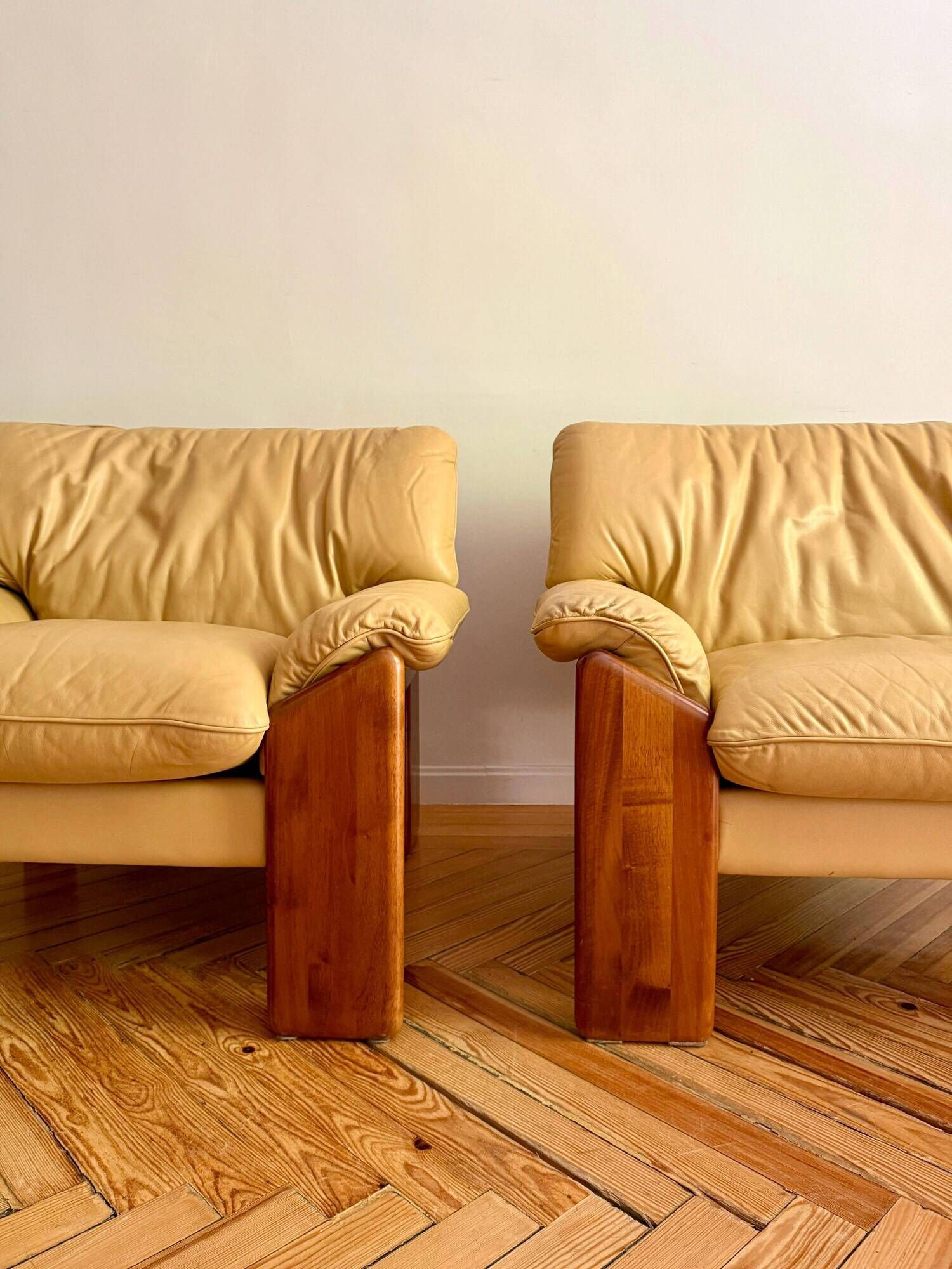 Pair of “Sapporo” armchairs by Mario Marenco for Mobil Girgi, Italy, 1970s