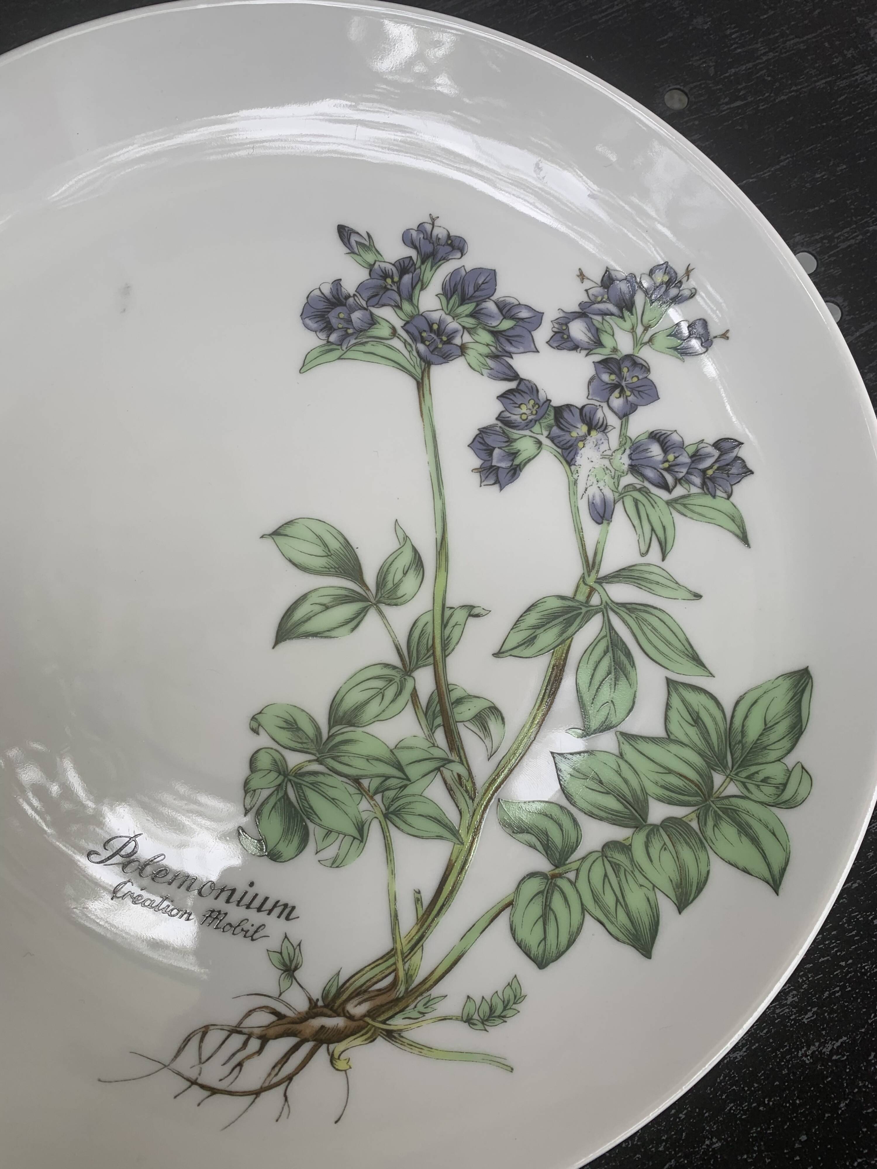 6 winterling bavaria porcelain herbarium pattern flat plates