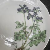 6 winterling bavaria porcelain herbarium pattern flat plates