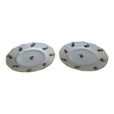 Pair of 2 plates
