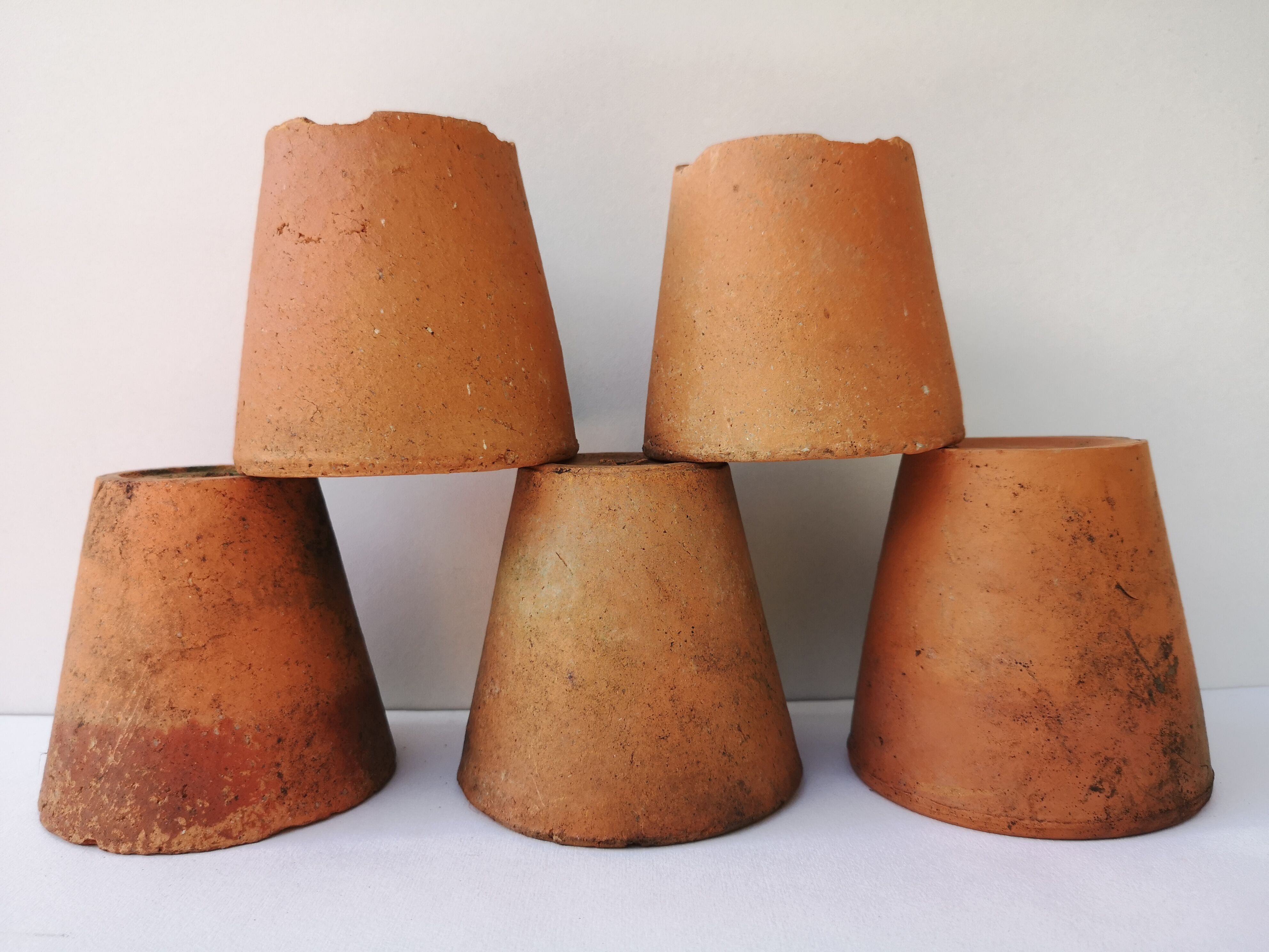 Terracotta seedlings