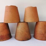 Terracotta seedlings