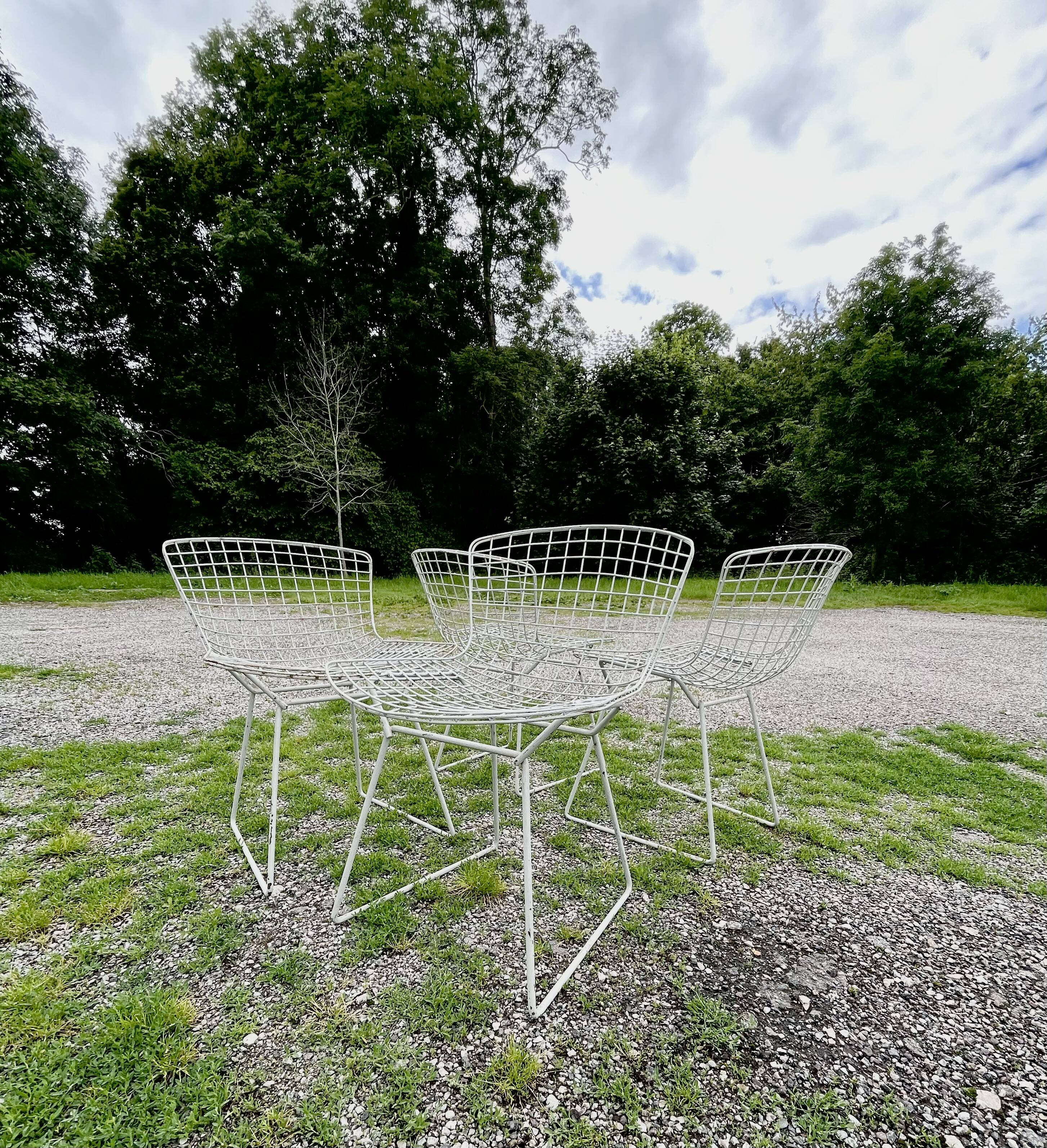 4 Bertoia chairs