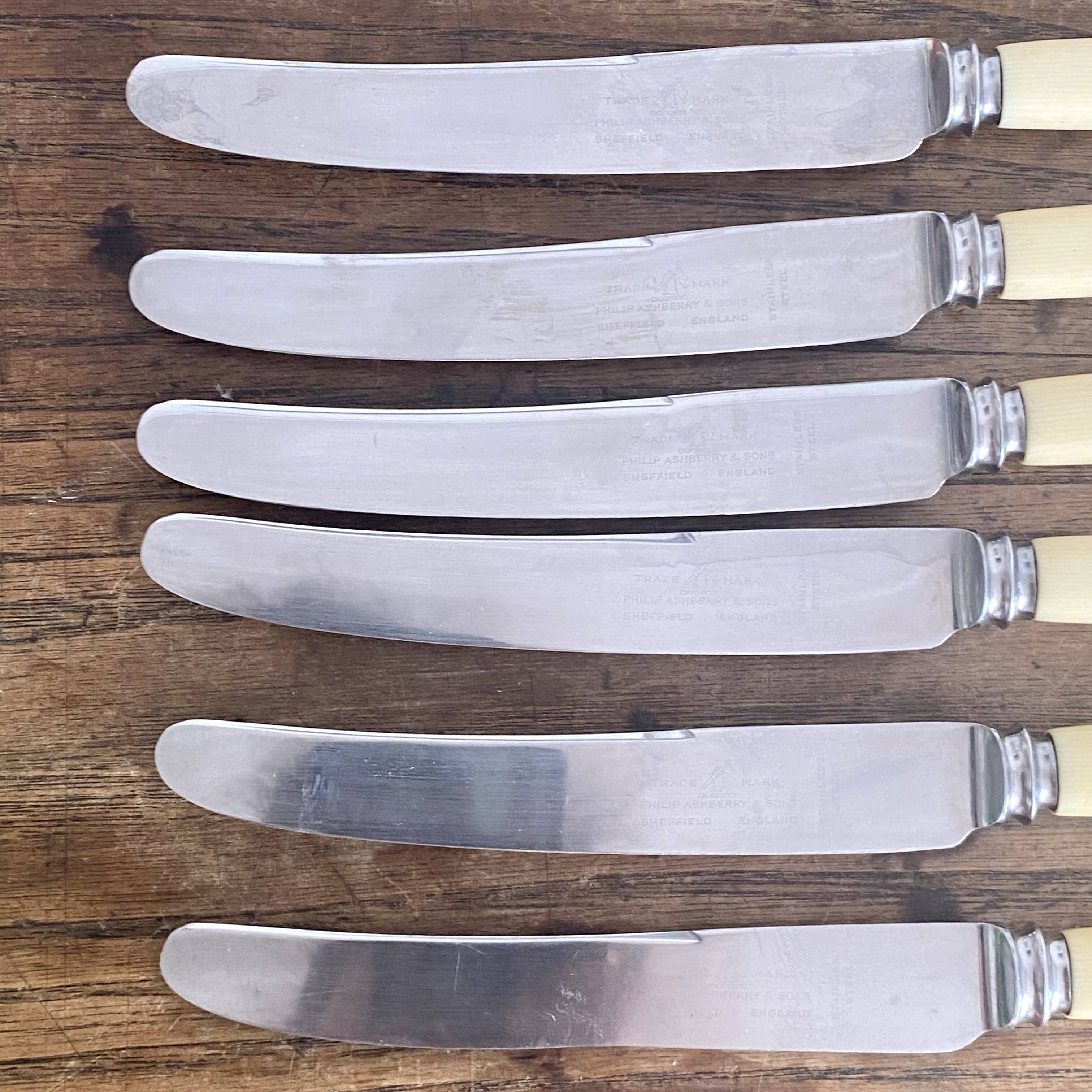 6 Philip Ashberry & Sons knives made in Sheffield England 24 cm