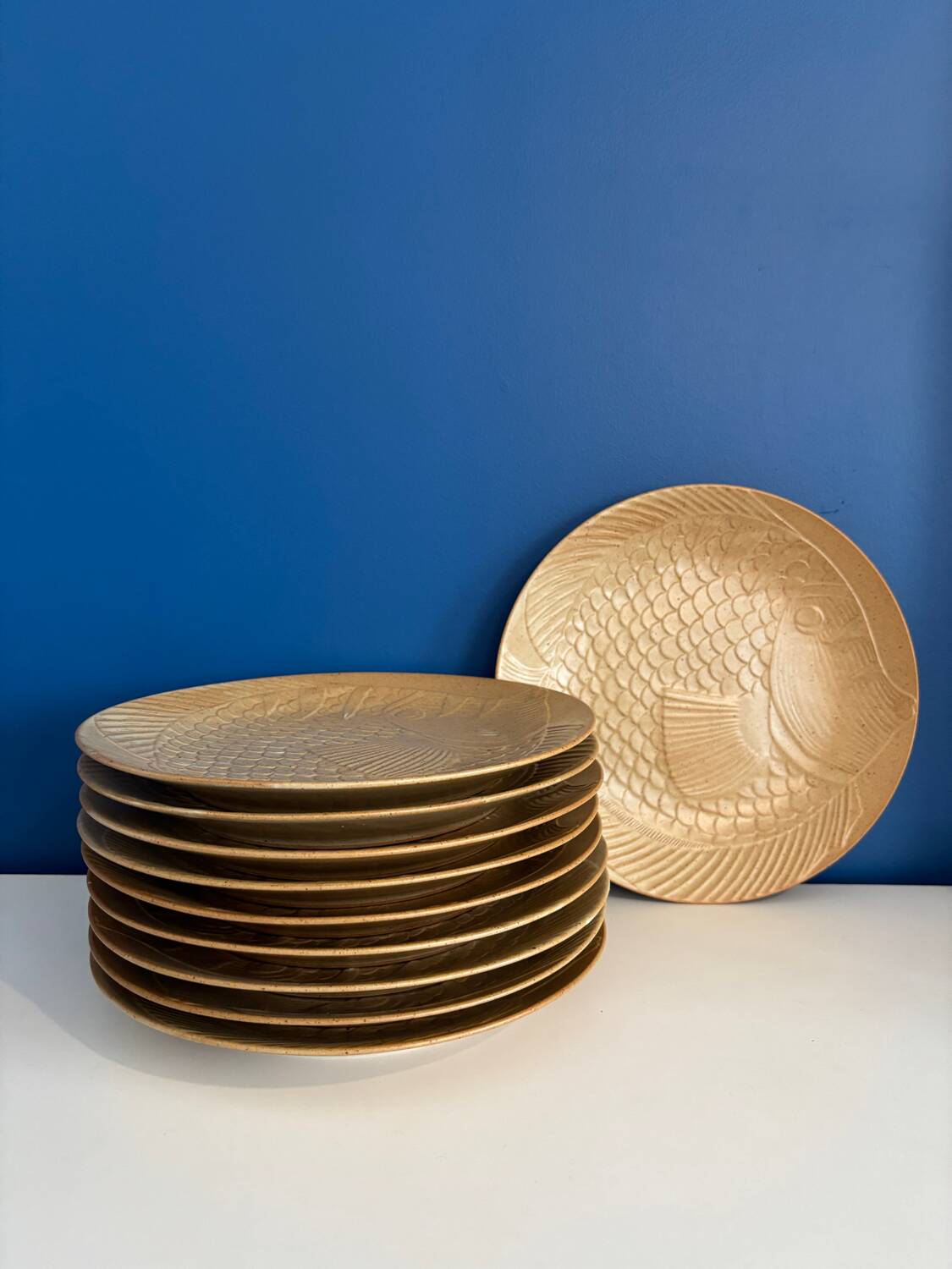 Service of 10 vintage stoneware fish plates from the village, made in France - stoneware plate with relief for serving fish.