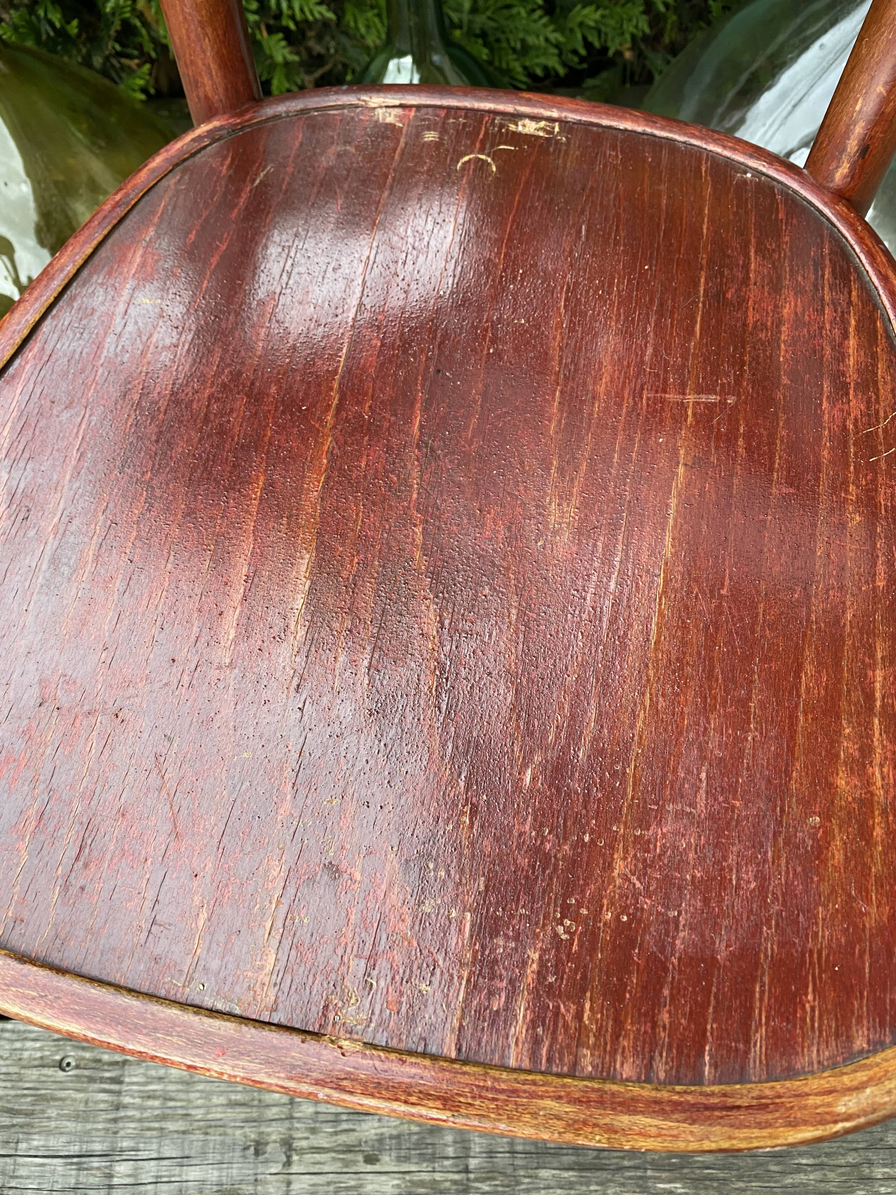 Thonet bistro chairs