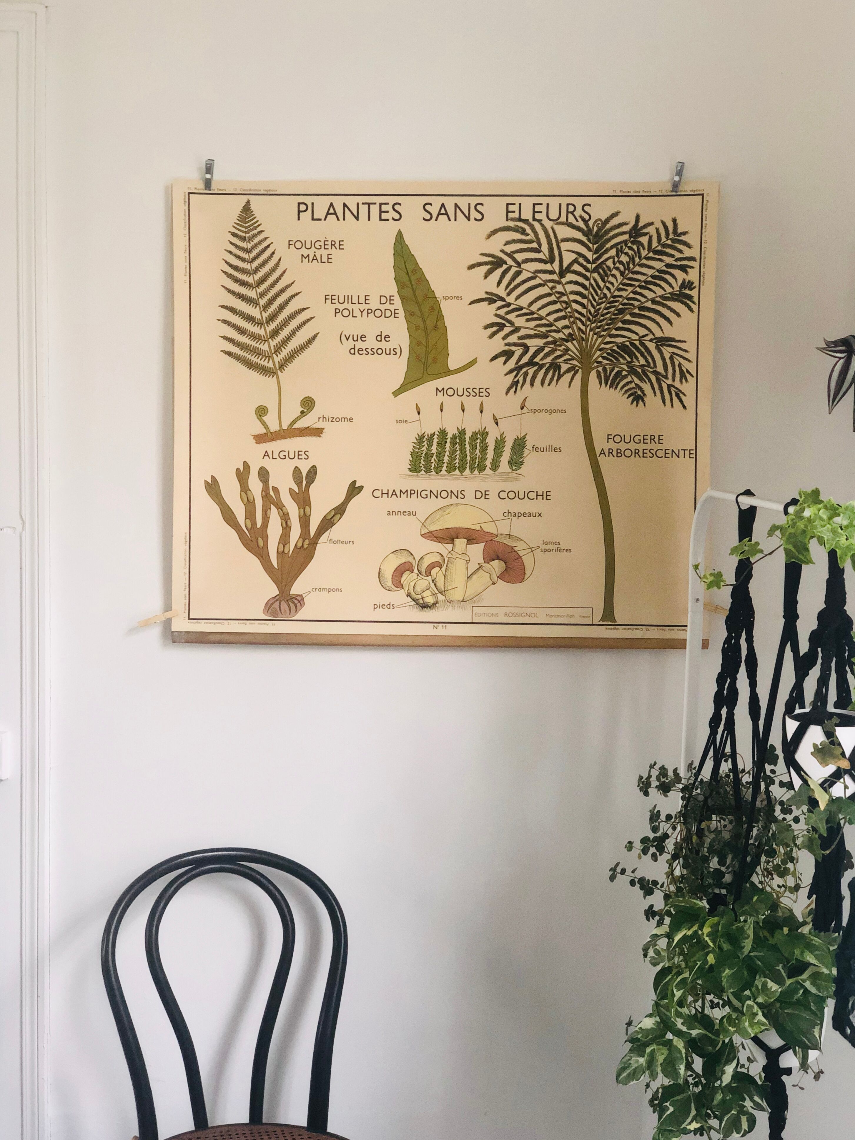 Former School Poster Rossignol Number 11