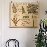 Former School Poster Rossignol Number 11