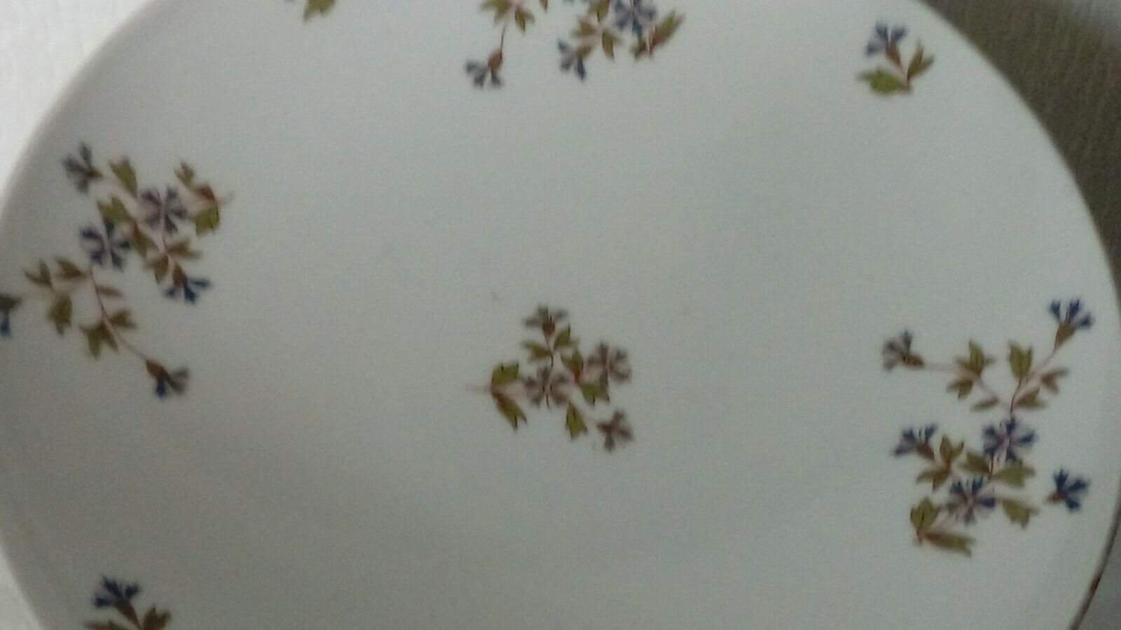 Decor porcelain compotier cut with barbel
