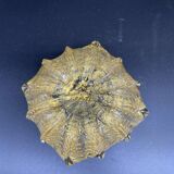 Empty pocket, Murano, Archimedes Seguso, yellow, gold, bubbled, stylized flower-forming, blown glass, Italy