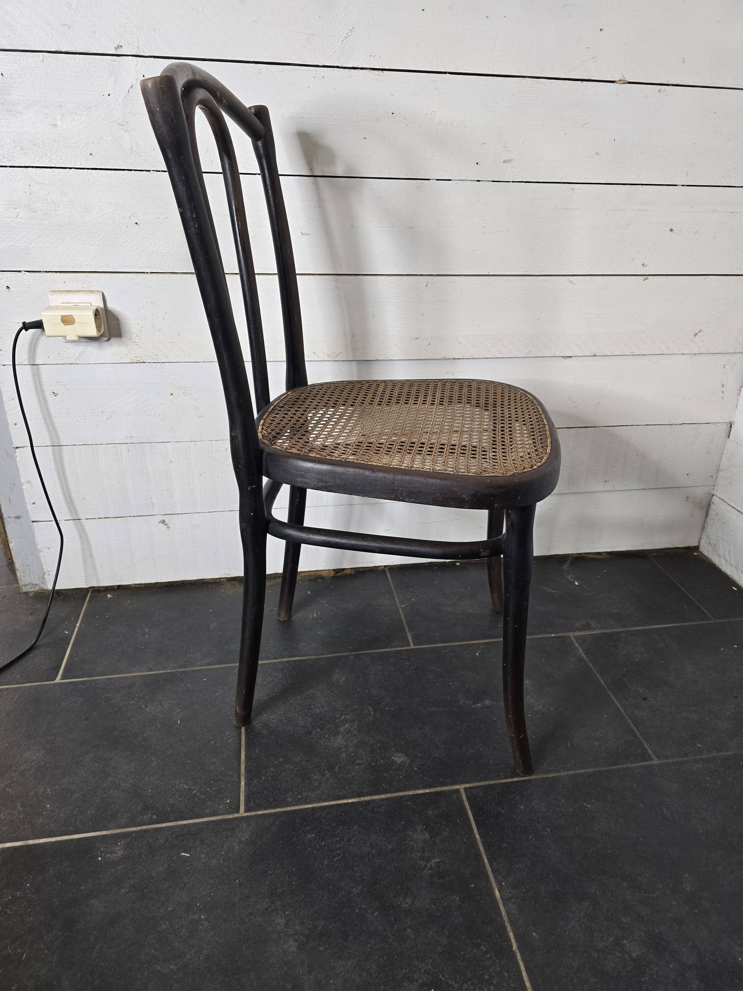 Chaise de bistrot en bois courbé Thonet