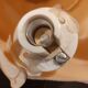 Lampe coquillage