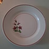 Flat plates Salins France