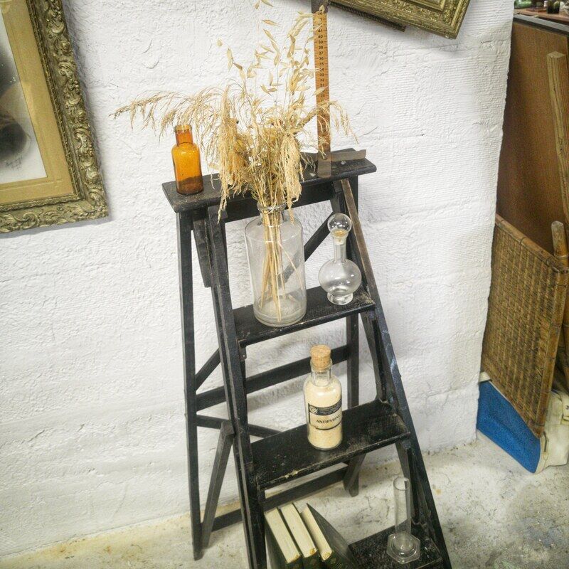 Library ladder