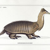 Set of 3 chimera lithograph animal engraving