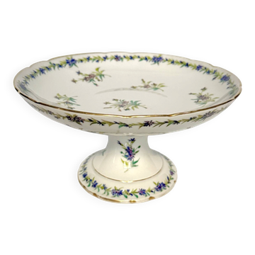 Fruit bowl / fruit dish