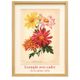 Botanical Engraving 1911 - Dahlias by J. Guillot - Flower, floral lithograph plate