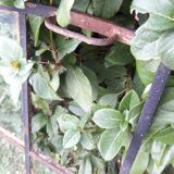 Industrial arched metal windows L73xH110 19th century glass roof