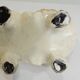 Vintage 1970s ceramic Pekingese dog, decorative figurine, statue.