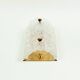 Scandinavian Glass & Brass Wall Light by C. Fagerlund for Orrefors, 1960s