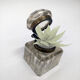 vase miniature