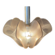 Suspension vintage Paul Secon