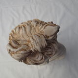 bust of antique subject on pedestal