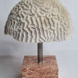 Ancient coral "brain" Diploria labyrinthiformis on base, 19 cm