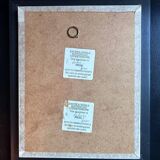 Frame of naturalized butterflies