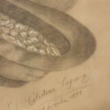 Charcoal drawing