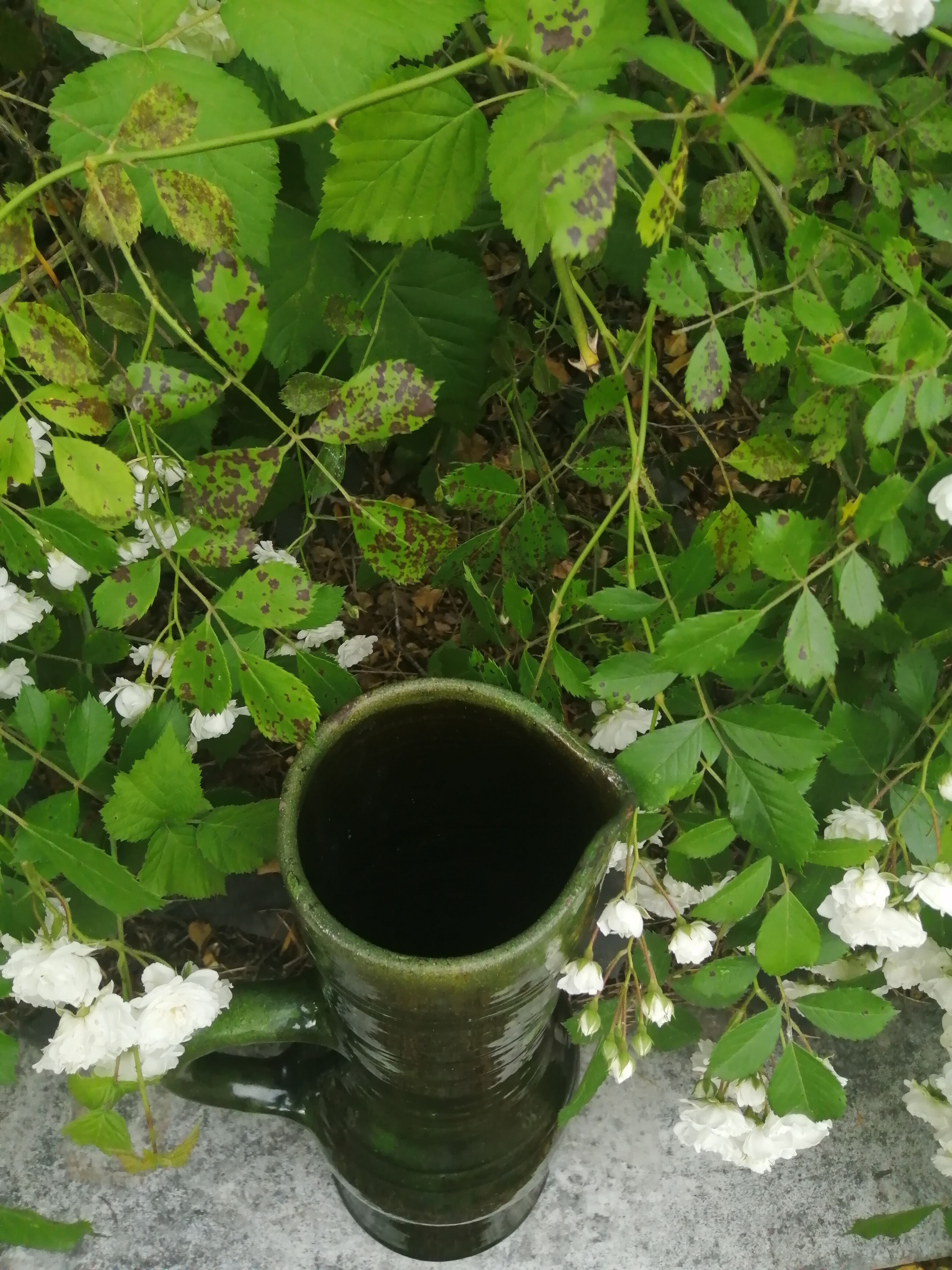 Pichet rustique des années 1950