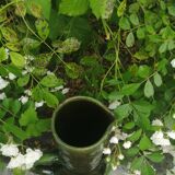 Rustic pitcher from the 1950s