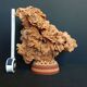 Exceptional rose des sables on a trimmed stem.