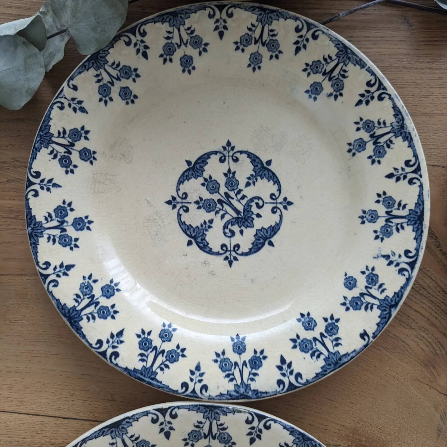 Set of 6 plates of Gien iron earth
