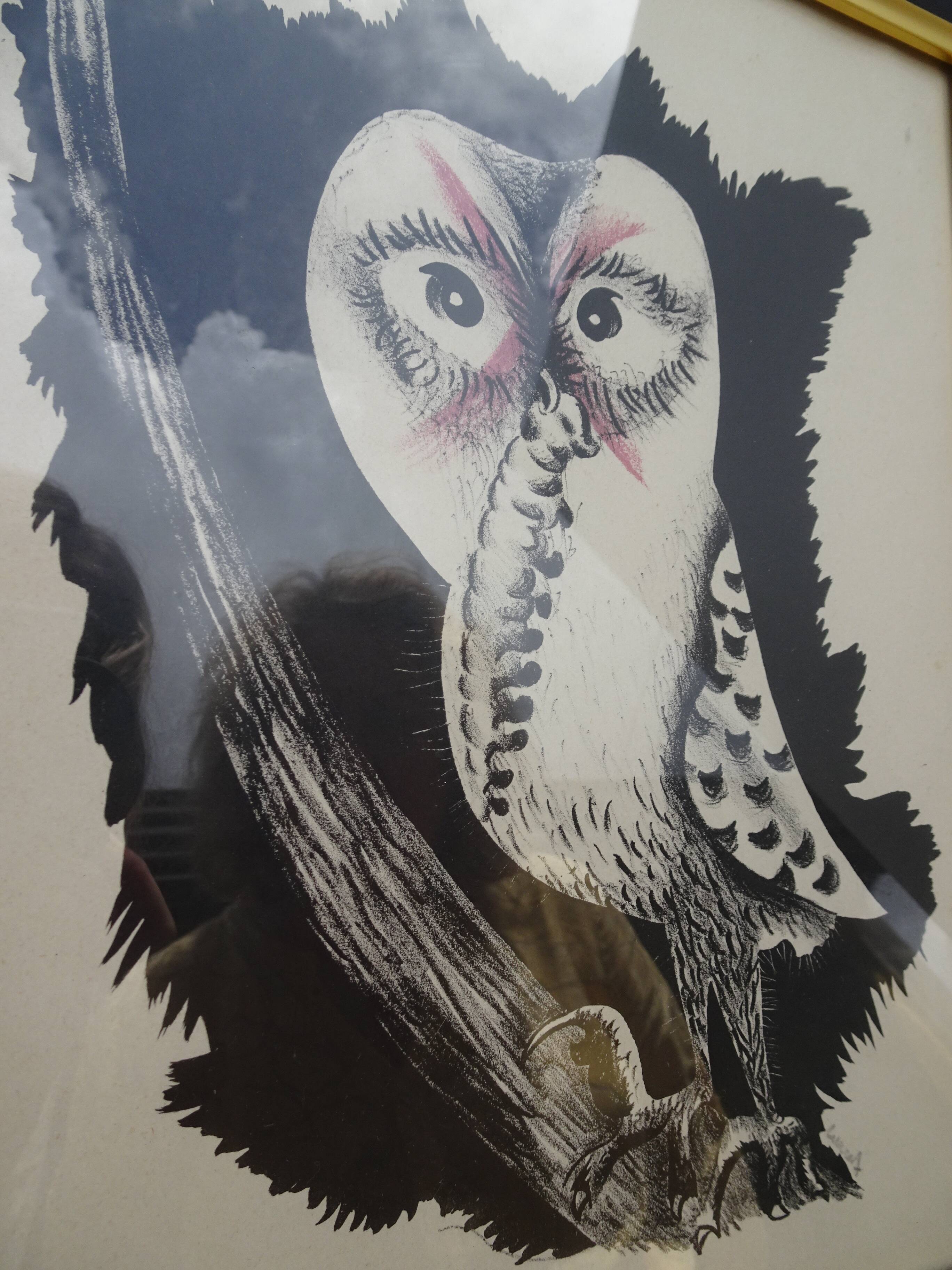 Jean Lurçat Lithographie  Chouette de Bonne espérance