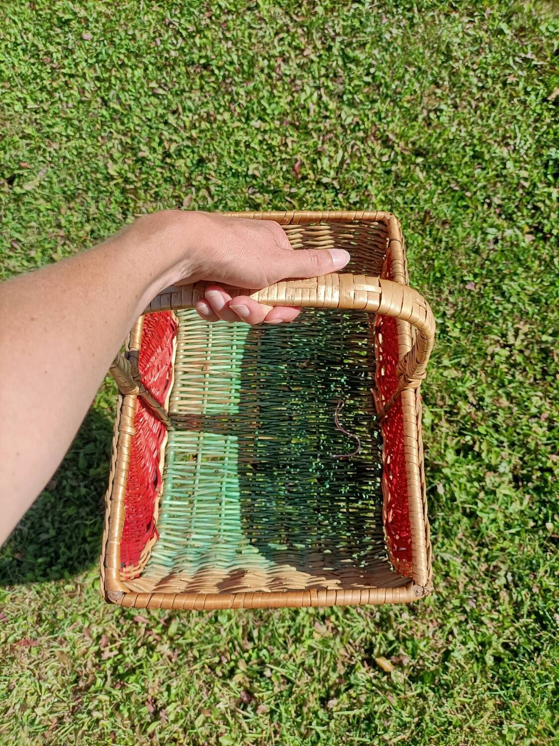 Retro Watermelon Basket