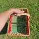 Retro Watermelon Basket