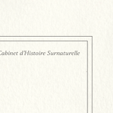 Chimera lithography animal engraving - the toupajou