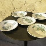 Old earthenware plates "Sarreguemines" model Alma