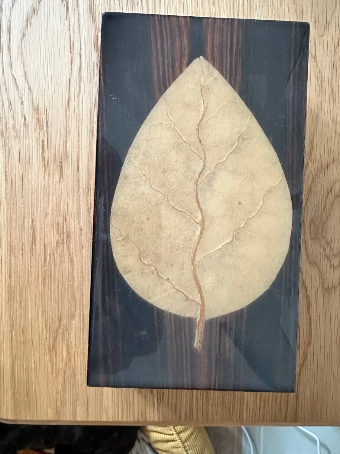 Varnished wooden cigar box