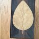Varnished wooden cigar box