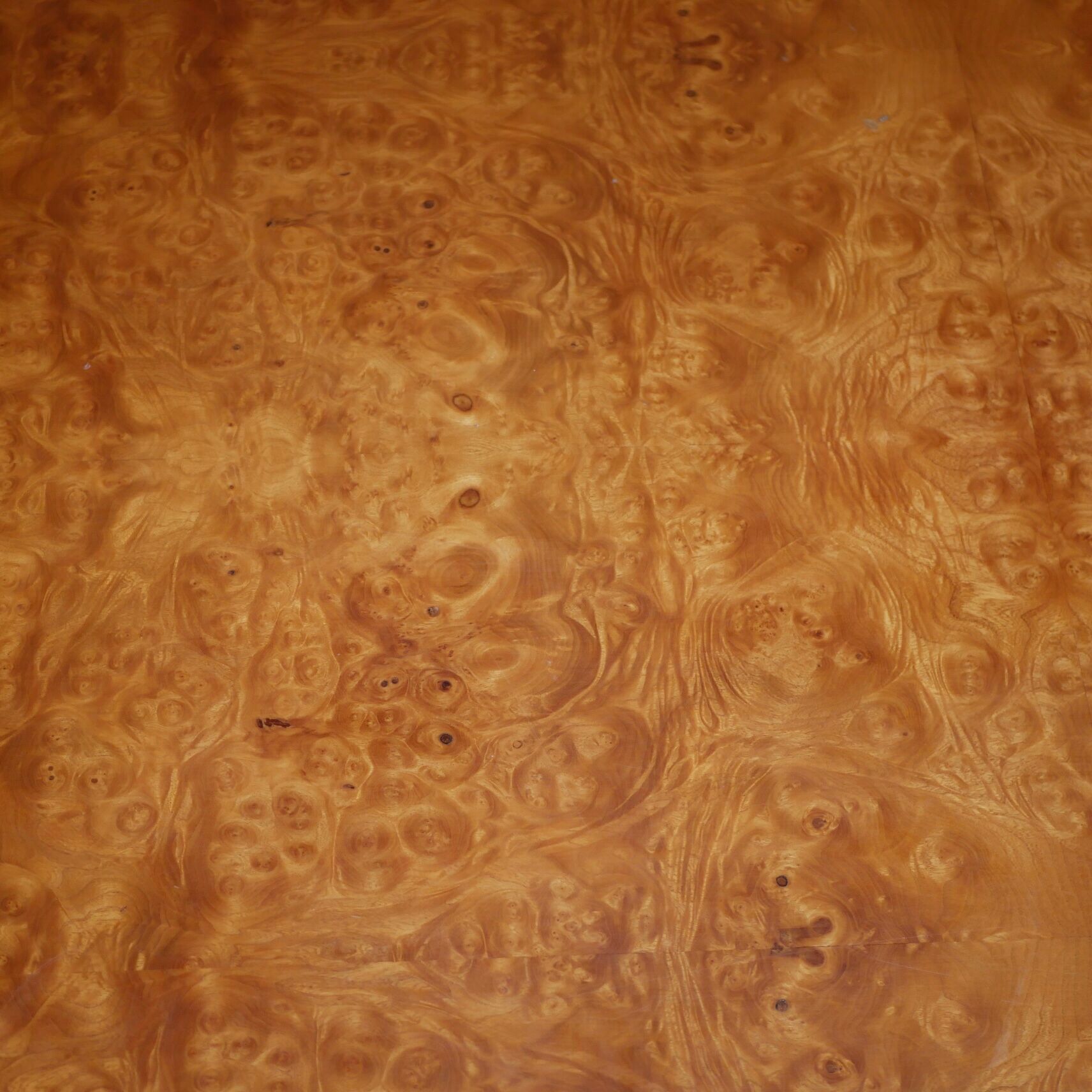 Elm magnifying glass coffee table